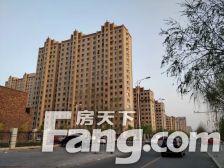 滨江国际三期 四叶草户型 精装修 拎包入住