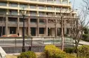 伴月湾小区实景图