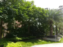 人盛巴厘天地 3室1厅 西北