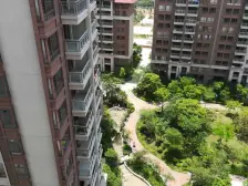 地铁14号线 精装修三房 东南向 望花园 电梯楼