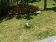 巴厘天地 南向户型 带主套 好楼层 。