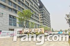 领第漫生活国际 1室1厅 南 北