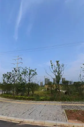 城泰枫华天成实景图