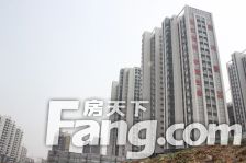 金五路桥头毛坯,两室,采光好,业主诚心出售