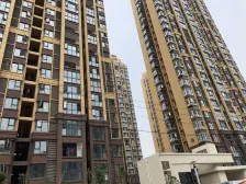 精装修,精装修,金地的物业,两梯5户的小户型