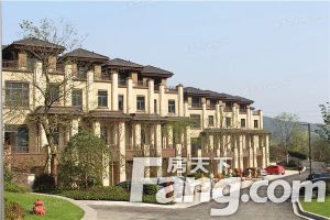 龙山望府 2室2厅 南