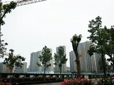 山大辅仁 正常住宅 全明一居室 花园式小区 管理完善