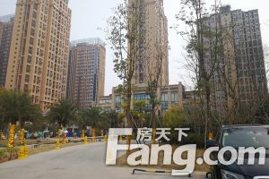 泰博理想城二期 2室1厅 东南