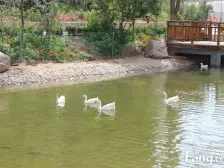 微乐花园精装修别墅 六室两厅一厨五卫