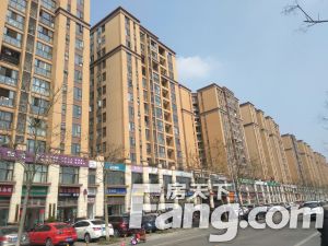 佳兆业8号君樾3室1厅南