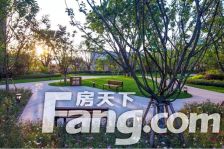 盛世沂城南区5室2厅南