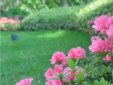 次新小区 春晓大两房 地铁口旁 急售