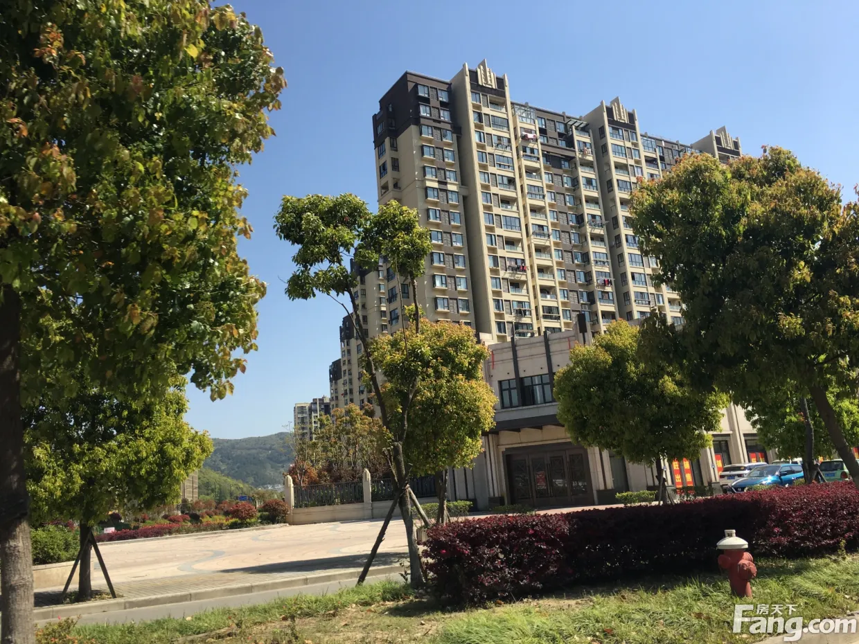 项目楼栋实景图