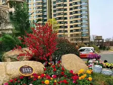 恒大帝景 4室2厅 南