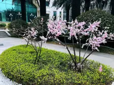 恒大帝景 4室2厅 南 北