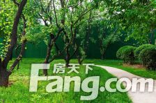 此房满两年,交易只有契税,墅区洋房,全明格