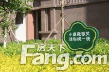 西岸华府 3室2厅 南