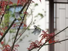 品质物业,户型方正,双轻轨加持,三甲医院,朝向安静