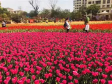 绿城物业 小区环境好 人车分流