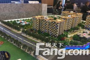 碧桂园悦府 3室2厅 南