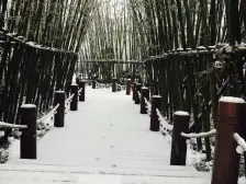 距离高铁站3.3公里,与世界500强企业相邻,