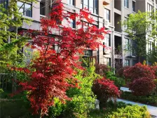 丰金紫金山庄 3室2厅 南 北