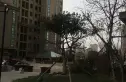 盛世公元壹号实景图
