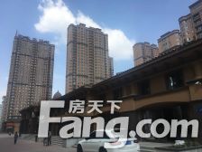 龙跃金水湾 两室大明厅 南北通透 格局板正 采光视野好