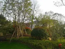 君汇半岛 3室2厅 南 北