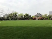 新力东园 精装三房两厅、带空调、地暖、洗碗机