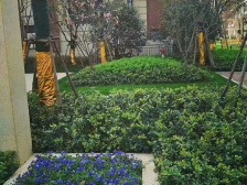 新力东园虎形山板块小区通透精装三房诚心急售