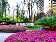 佣金3666元 龙洲湾 恒大新城二期二房40万