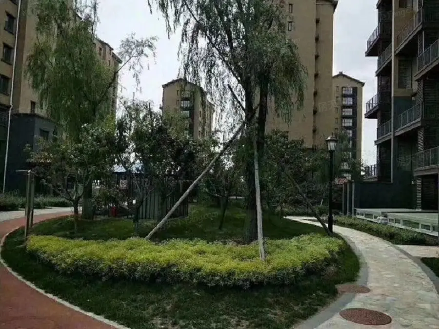 实景图