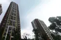 版筑青果实景图