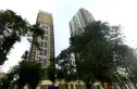 版筑青果实景图