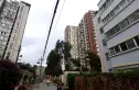 版筑青果实景图