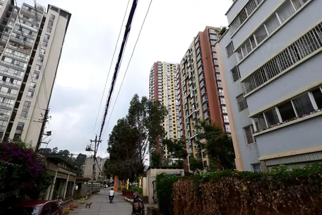 版筑青果实景图
