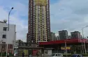 版筑青果实景图