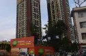 版筑青果实景图