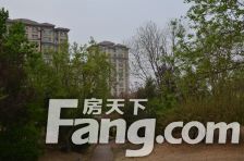 马坡·鲁能7号别墅·5室·3厅