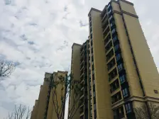 近嘉闵线 上华五 白玉兰获得小区 飞机户型精装小三房