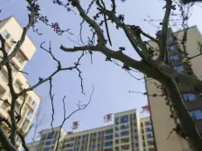 发展大道夷陵万达旁梅香溪岸复式五房