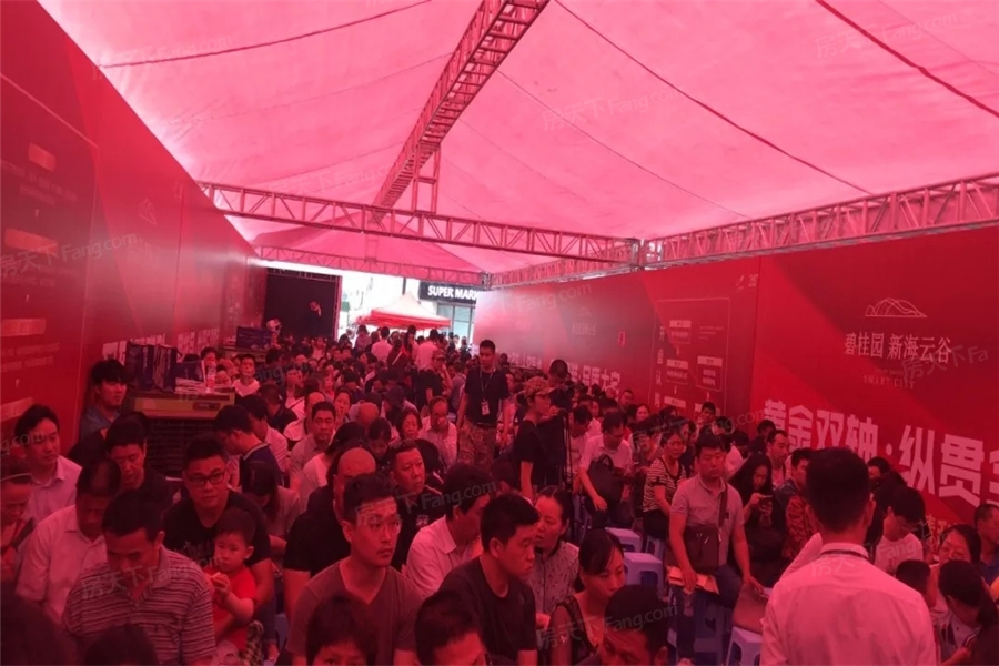 碧桂园·新海学府活动现场
