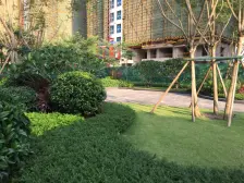 融创九棠府5房2厅