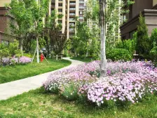 天马相城四期 2室3厅 南 北