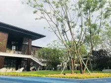 清水三房房,通风性好,格局好户型好,视野开阔