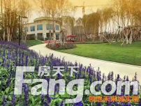 领地·未来城五期[新区]