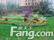 主卧朝南,小区中心位置,小户型,采光充足