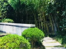 嘉隆国际广场 4室3厅 南 北