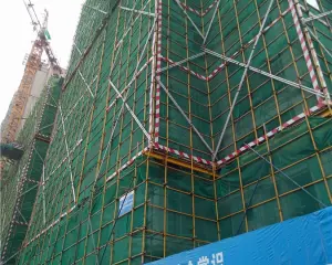 奥园公园府邸 3室2厅 东 南